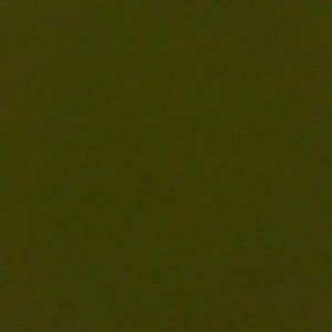 Meet your Posher, Serina